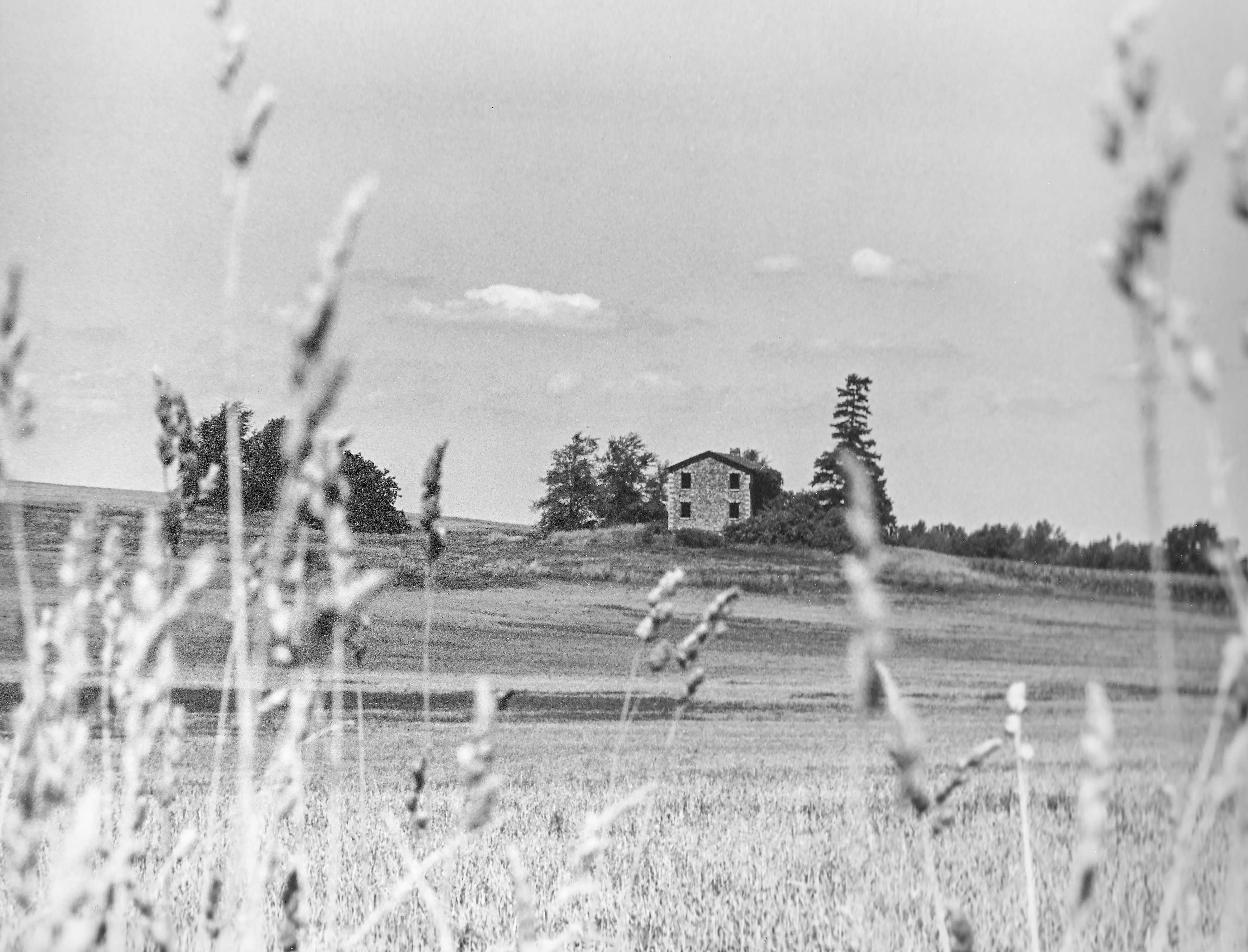 Longfellow cobblestone 4